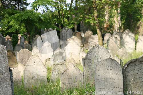 Image of old jewish burial place