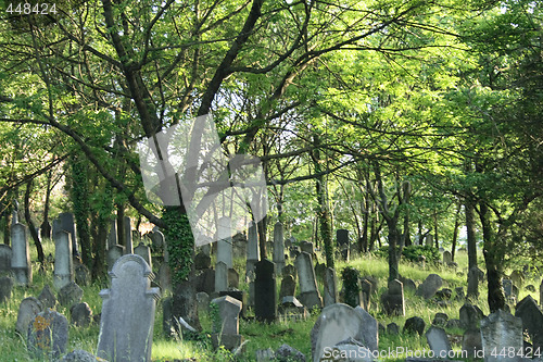 Image of old jewish burial place