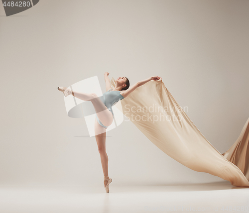 Image of Modern ballet dancer dancing in full body on white studio background.