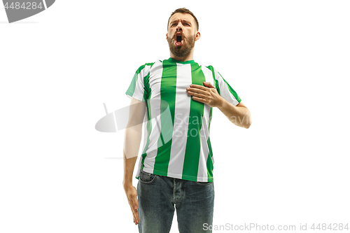 Image of Irish fan celebrating on white background