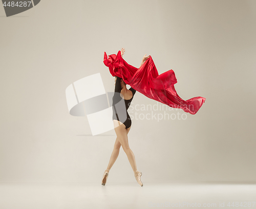 Image of Modern ballet dancer dancing in full body on white studio background.