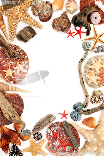 Image of Driftwood and Seashell Background Border