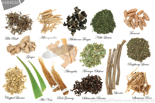 Image of Adaptogen Herbs and Spices