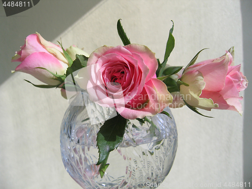 Image of Beautiful tender roses in a crystal vase