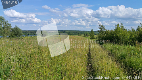 Image of Beautiful summer landscape