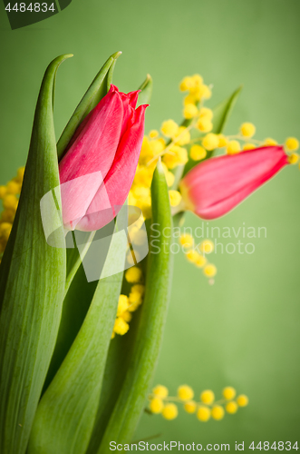 Image of Spring bouquet with red tulip and mimosa