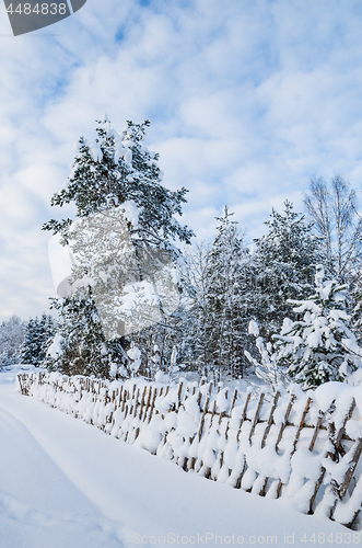 Image of Snow-covered landscape in the countryside. Viitna, Estonia