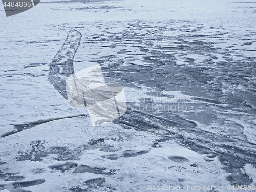 Image of Frozen pond surface with many prints