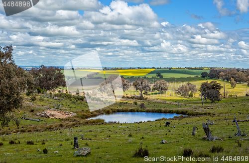 Image of Picturesque rural farmlands as far as the eye can see