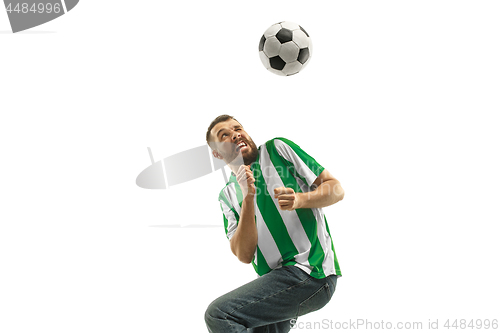 Image of Irish fan celebrating on white background