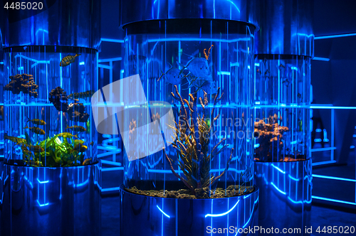 Image of oceanarium interior photo