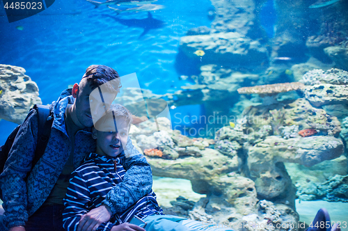 Image of in the oceanarium