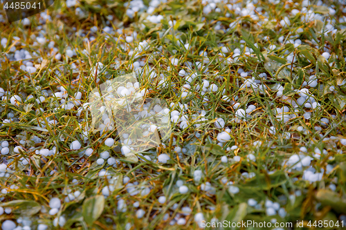 Image of Hail on the grass