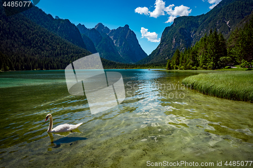 Image of Lake Dobbiaco in the Dolomites, Italy