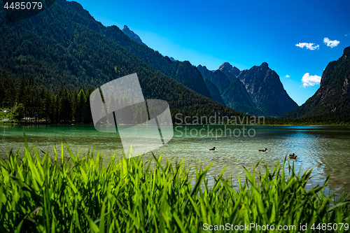 Image of Lake Dobbiaco in the Dolomites, Italy