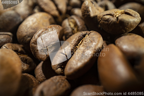 Image of Coffee beans close up