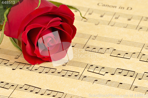 Image of Red Rose on Sheet Music