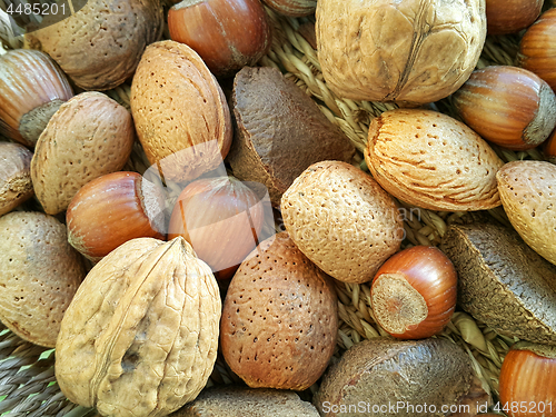 Image of Mix of different types nuts