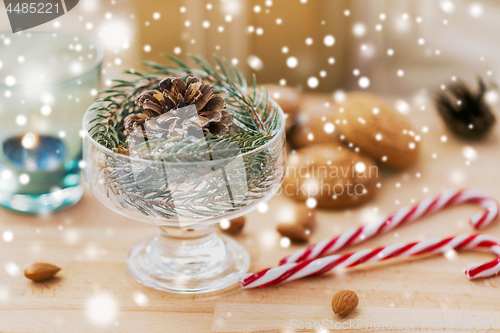Image of christmas fir decoration with cone in dessert bowl