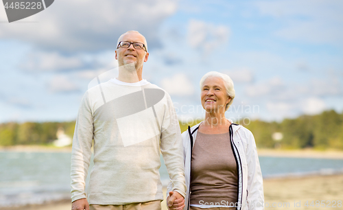 Image of happy senior couple over beach background