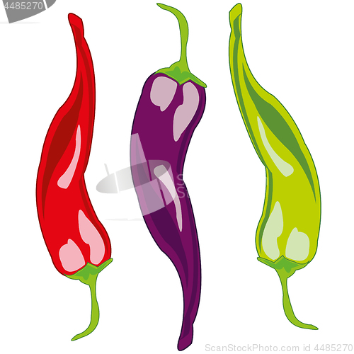 Image of Sharp pepper chile on white background is insulated