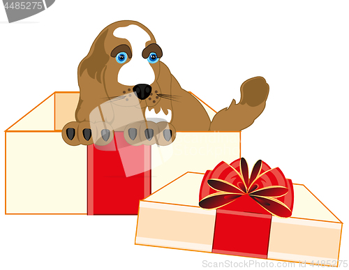 Image of Small puppy of the dog in box gift