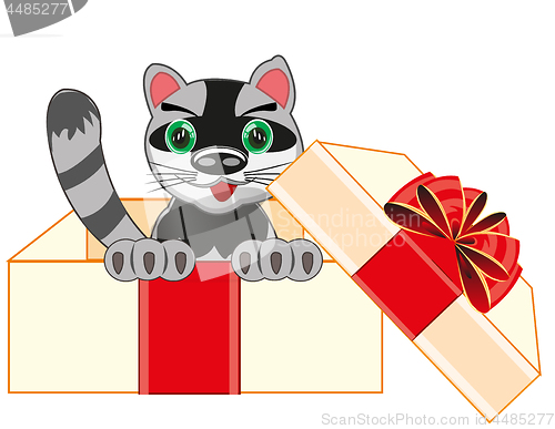 Image of Beautiful kitty in gift in box.Vector illustration
