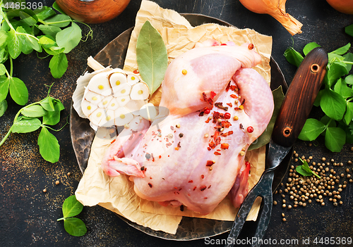 Image of raw chicken