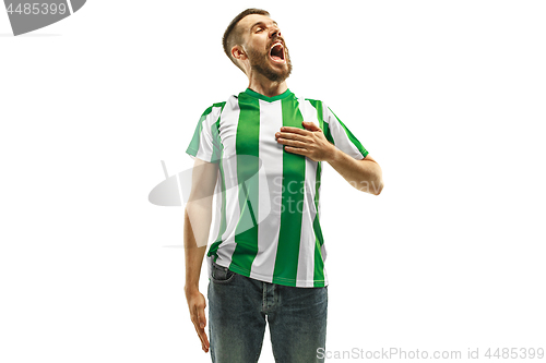 Image of Irish fan celebrating on white background