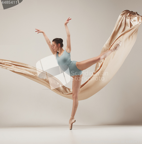 Image of Modern ballet dancer dancing in full body on white studio background.