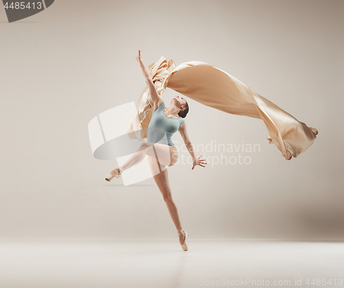 Image of Modern ballet dancer dancing in full body on white studio background.