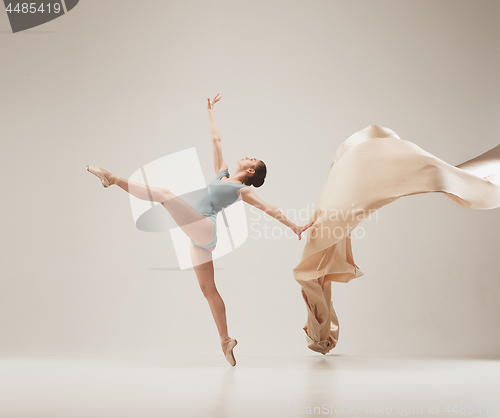 Image of Modern ballet dancer dancing in full body on white studio background.