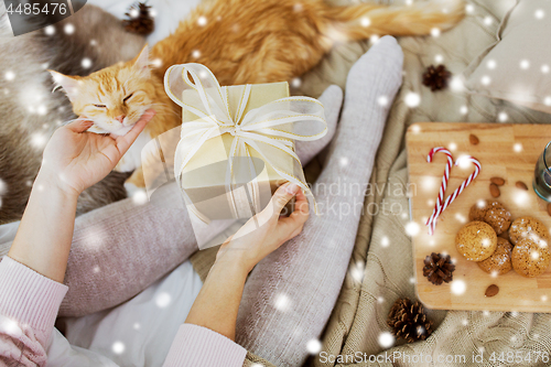 Image of close up of woman with christmas gift and cat