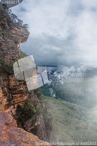 Image of Fog and mist in cliffs of Blue Mountains