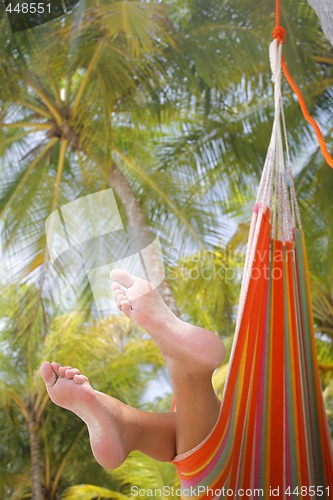 Image of Woman in a Hammock