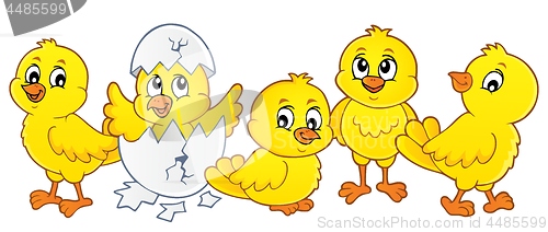 Image of Cute chickens topic image 1