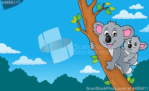 Image of Koala theme image 4