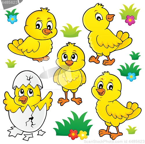 Image of Cute chickens topic set 1