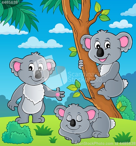 Image of Koala theme image 1