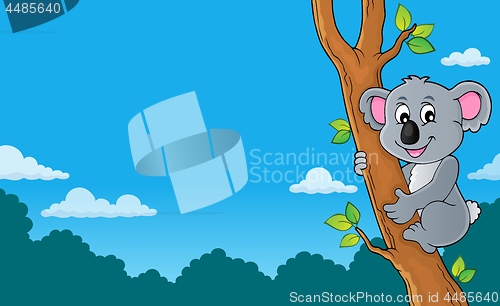 Image of Koala theme image 3