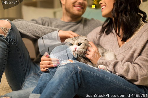 Image of close up of couple with scottish fold cat