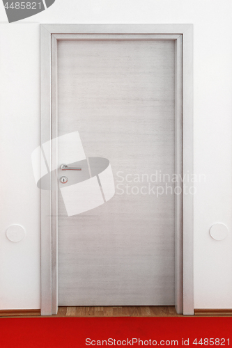 Image of Silver Door