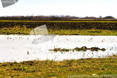 Image of Flooded crops