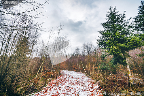 Image of Road with red bricks covered with snow