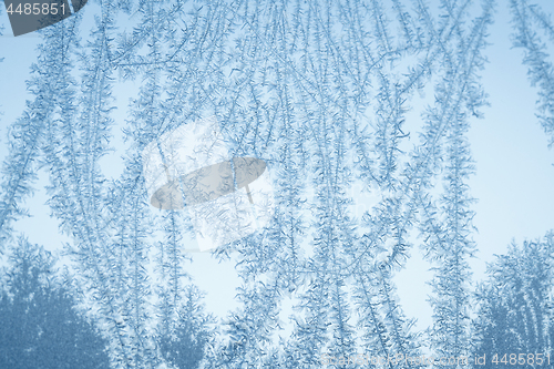 Image of Frost flake patterns on a window in December