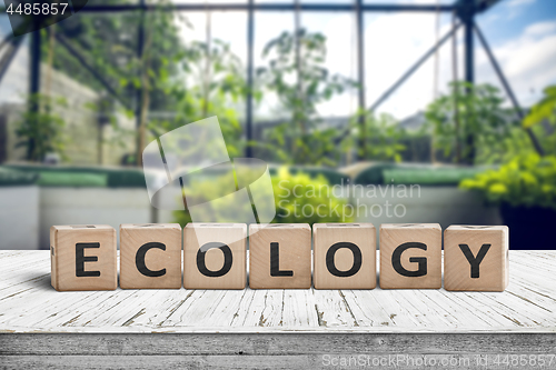 Image of Ecology sign on a wooden table in a greenery