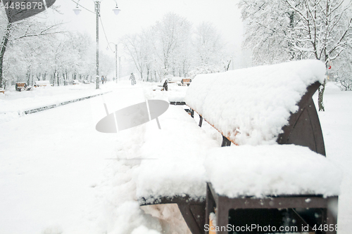 Image of Park with Bench covered with Snow