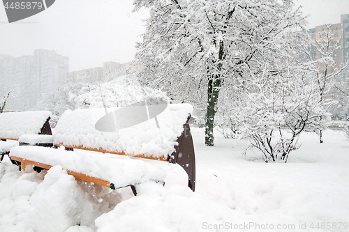 Image of Park with Bench covered with Snow