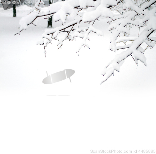 Image of Park with Trees covered with Snow