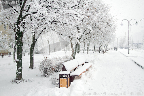 Image of Park with Trees covered with Snow